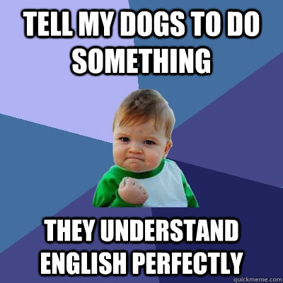 tell my dogs to do something they understand english perfectly  Success Kid