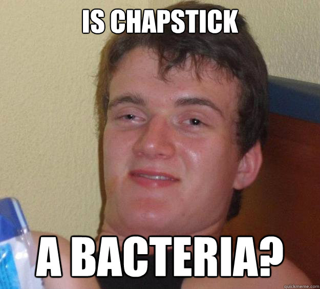 Is chapstick  a bacteria? - Is chapstick  a bacteria?  10 Guy