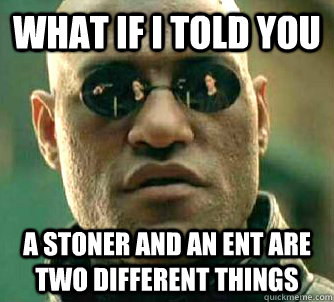 what if i told you a stoner and an ent are two different things  Matrix Morpheus