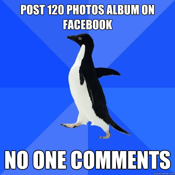 Post 120 photos album on facebook no one comments  Socially Awkward Penguin