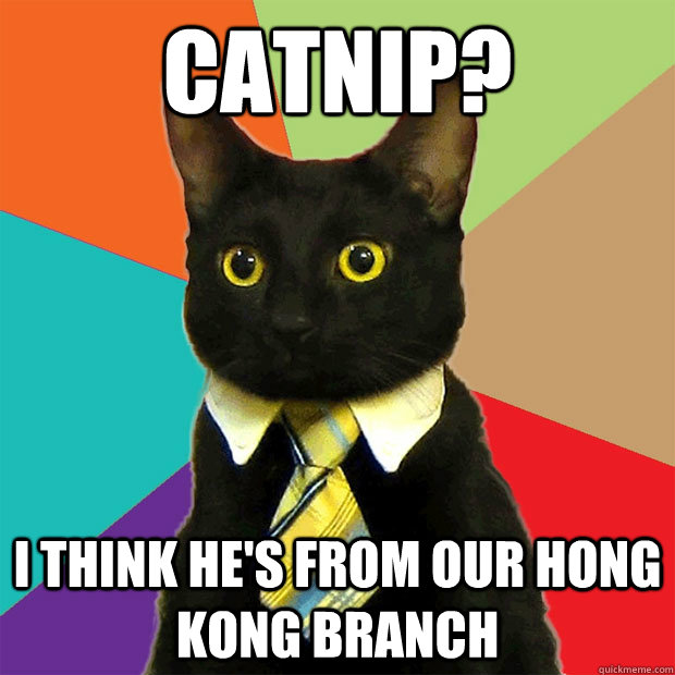 Catnip? I think he's from our Hong Kong branch  Business Cat