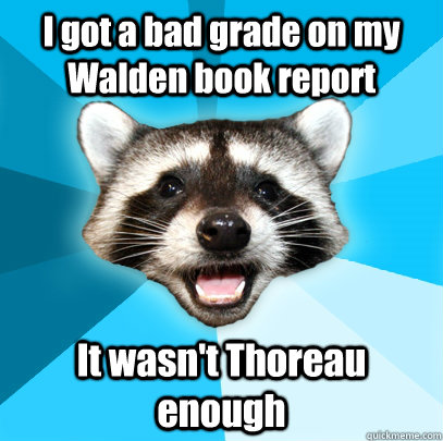 I got a bad grade on my Walden book report It wasn't Thoreau enough - I got a bad grade on my Walden book report It wasn't Thoreau enough  Lame Pun Coon