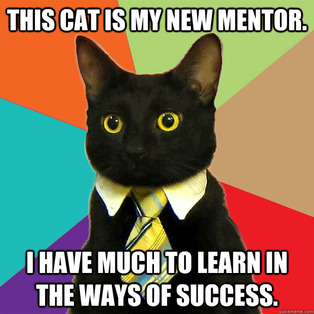 This cat is my new mentor. I have much to learn in the ways of success.  Business Cat