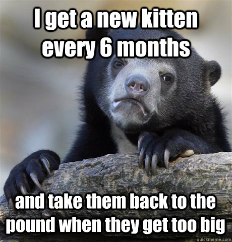 I get a new kitten every 6 months and take them back to the pound when they get too big  Confession Bear