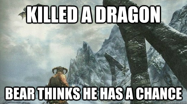 Killed a dragon  Bear thinks he has a chance  