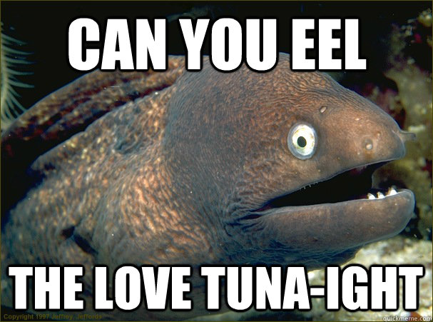 can you eel the love tuna-ight - can you eel the love tuna-ight  Bad Joke Eel