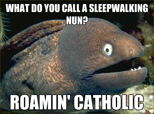 What do you call a sleepwalking nun? Roamin' Catholic  Bad Joke Eel