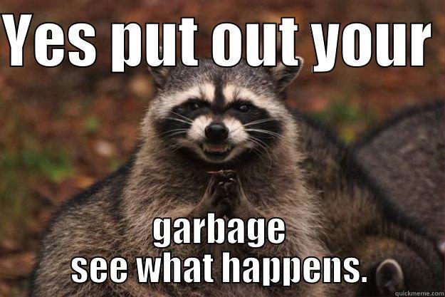 YES PUT OUT YOUR  GARBAGE SEE WHAT HAPPENS. Evil Plotting Raccoon