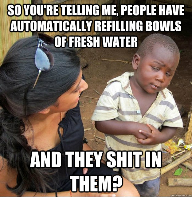 So you're telling me, people have automatically refilling bowls of fresh water and they shit in them?  Skeptical Third World Kid