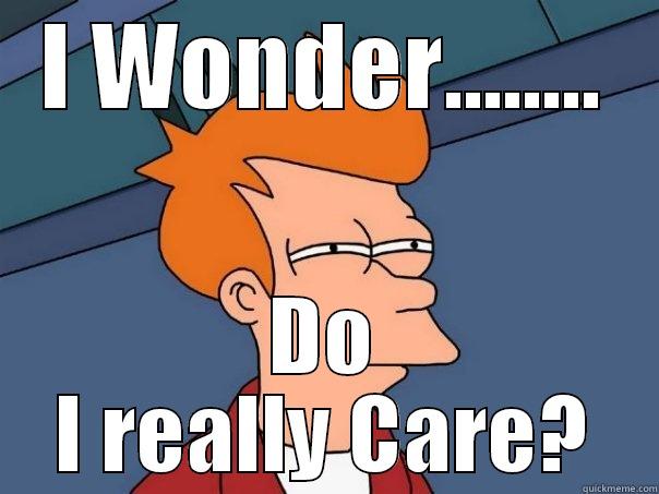 I WONDER........ DO I REALLY CARE? Futurama Fry