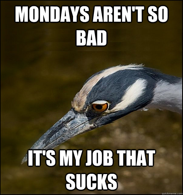 mondays aren't so bad it's my job that sucks  Sad Realization Heron