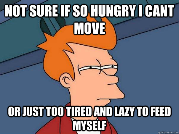 Not sure if so hungry I cant move Or just too tired and lazy to feed myself - Not sure if so hungry I cant move Or just too tired and lazy to feed myself  Futurama Fry