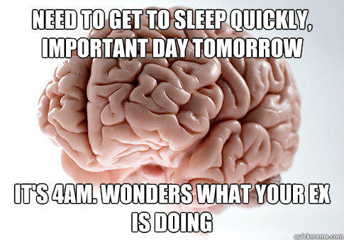 Need to get to sleep quickly, important day tomorrow It's 4AM. Wonders what your ex is doing  - Need to get to sleep quickly, important day tomorrow It's 4AM. Wonders what your ex is doing   Scumbag Brain