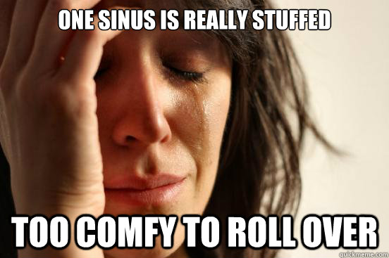 one sinus is really stuffed Too comfy to roll over  First World Problems