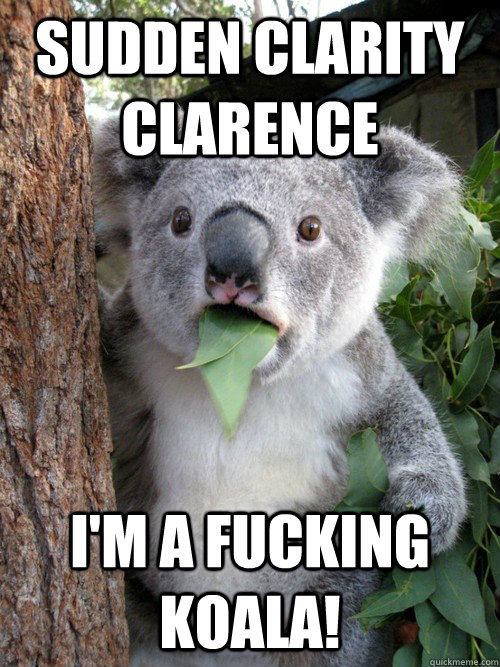 Sudden clarity clarence I'm a fucking Koala! - Sudden clarity clarence I'm a fucking Koala!  koala bear