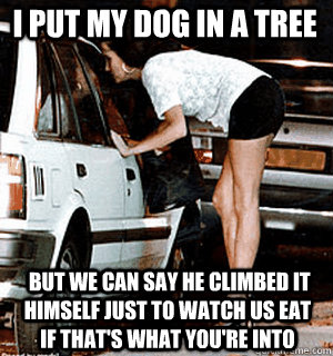 I put my dog in a tree   But we can say he climbed it himself just to watch us eat if that's what you're into  Karma Whore