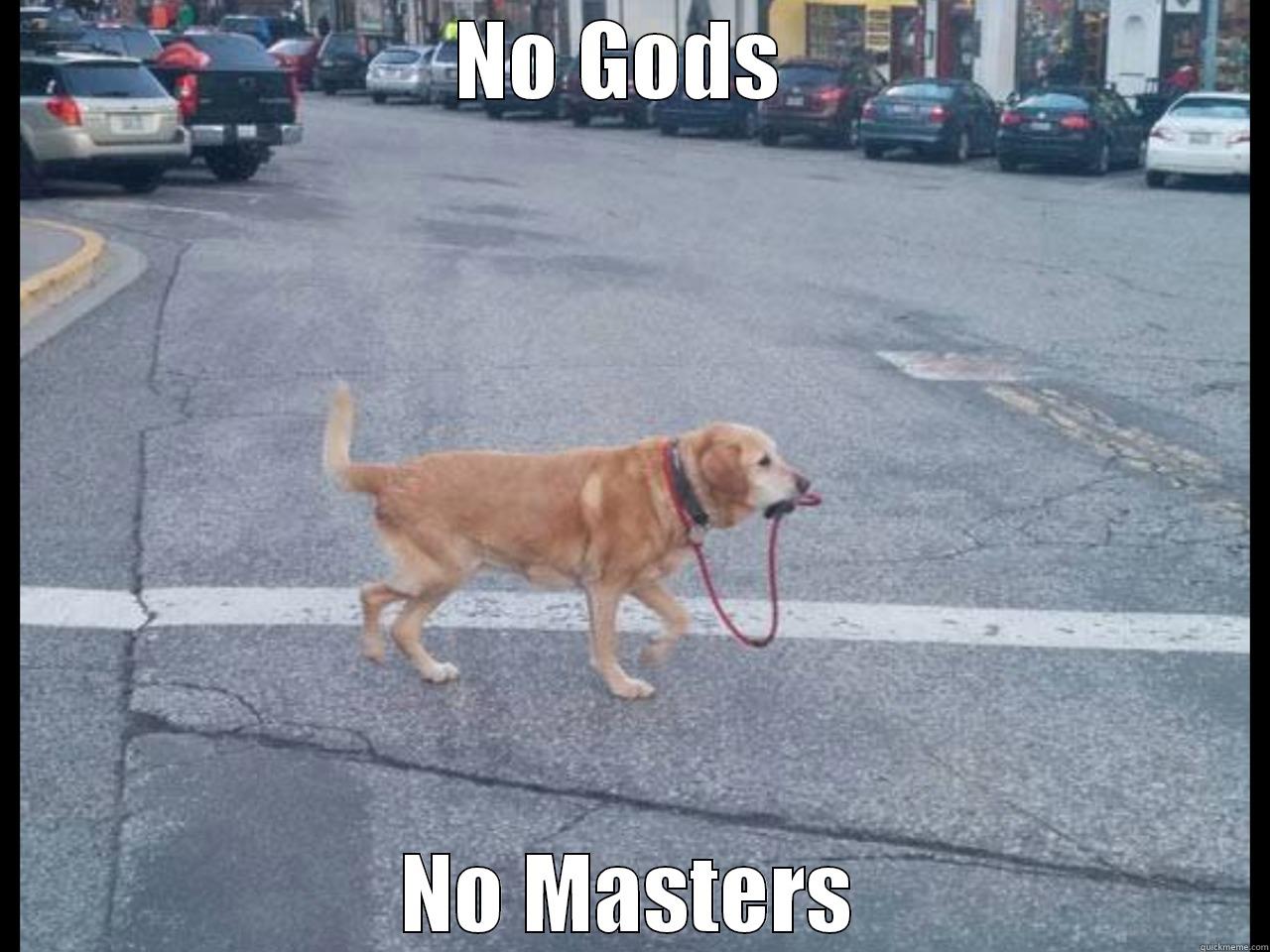 Anarchy Dog - NO GODS  NO MASTERS Misc