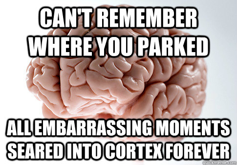 Can't remember where you parked all embarrassing moments seared into cortex forever - Can't remember where you parked all embarrassing moments seared into cortex forever  Scumbag Brain