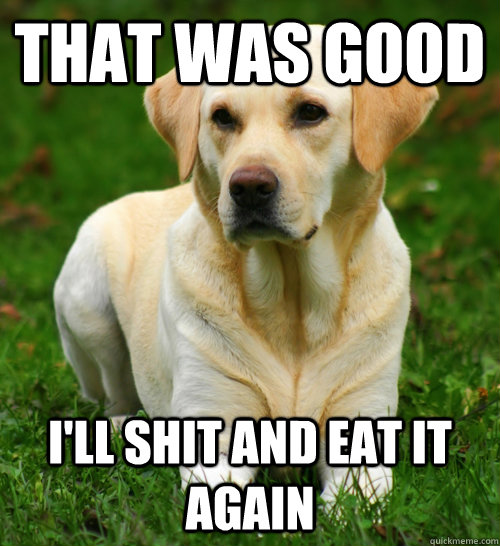 That was good I'll shit and eat it again  Dog Logic