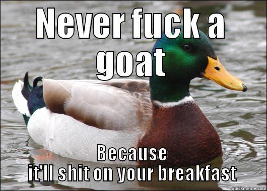 ashijnf asdfdgdf  - NEVER FUCK A GOAT BECAUSE IT'LL SHIT ON YOUR BREAKFAST Actual Advice Mallard