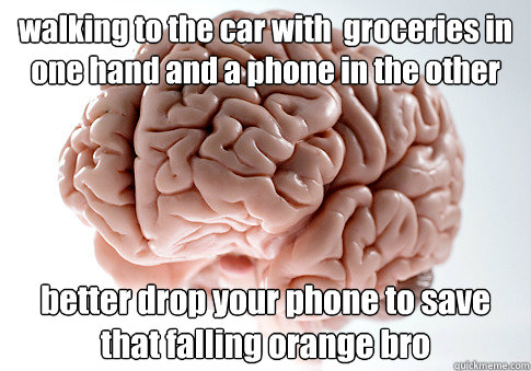 walking to the car with  groceries in one hand and a phone in the other better drop your phone to save that falling orange bro   Scumbag Brain