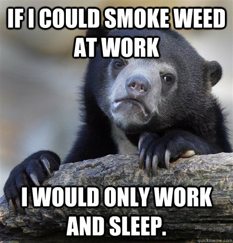 If I could smoke weed at work I would only work and sleep.  Confession Bear