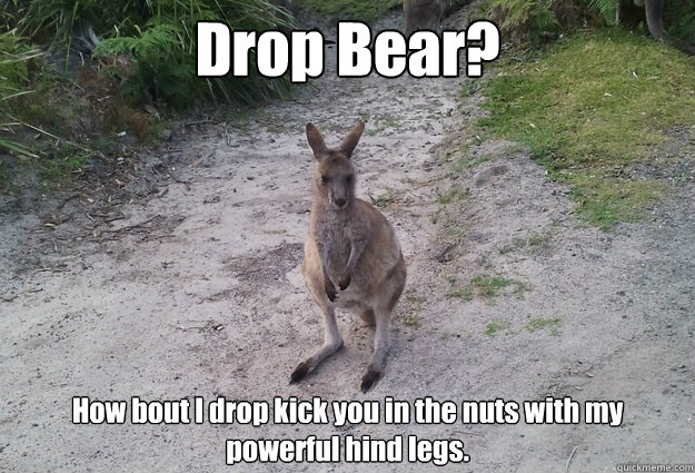 Drop Bear? How bout I drop kick you in the nuts with my powerful hind legs. - Drop Bear? How bout I drop kick you in the nuts with my powerful hind legs.  Wangsta Wallaby