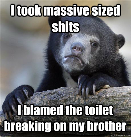 I took massive sized shits I blamed the toilet breaking on my brother - I took massive sized shits I blamed the toilet breaking on my brother  Confession Bear