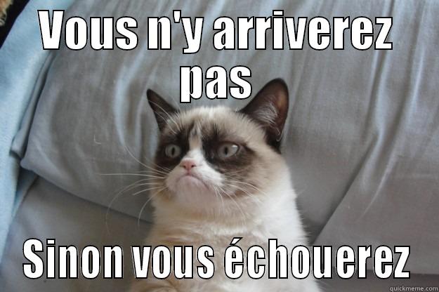 Loooser is to looser to not lose - VOUS N'Y ARRIVEREZ PAS SINON VOUS ÉCHOUEREZ Grumpy Cat