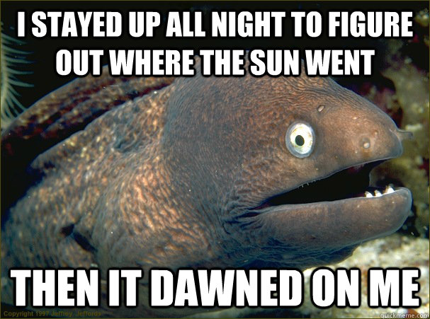 I stayed up all night to figure out where the sun went Then it dawned on me - I stayed up all night to figure out where the sun went Then it dawned on me  Bad Joke Eel