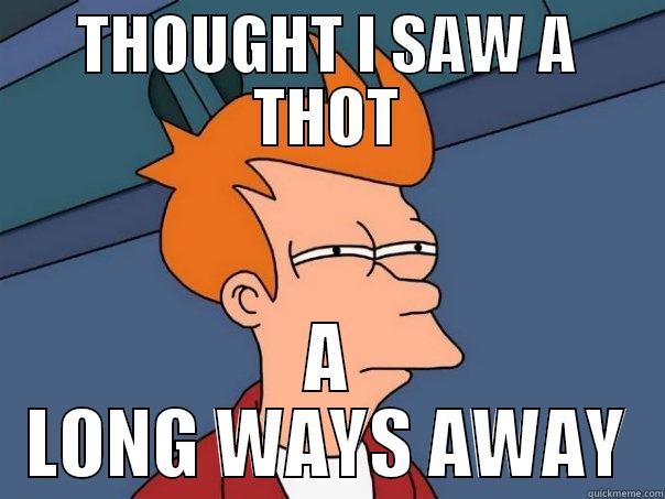 THOUGHT I SAW A THOT A LONG WAYS AWAY Futurama Fry