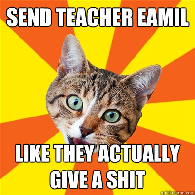 send teacher eamil like they actually give a shit  Bad Advice Cat