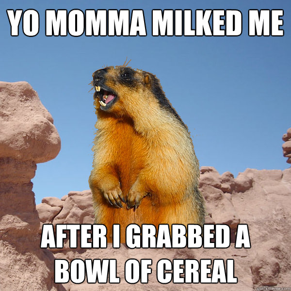 Yo momma milked me After I grabbed a bowl of cereal 
  