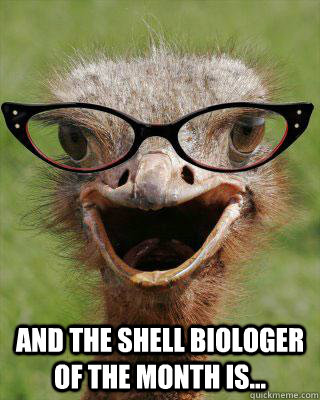  And the shell biologer of the month is...   Judgmental Bookseller Ostrich