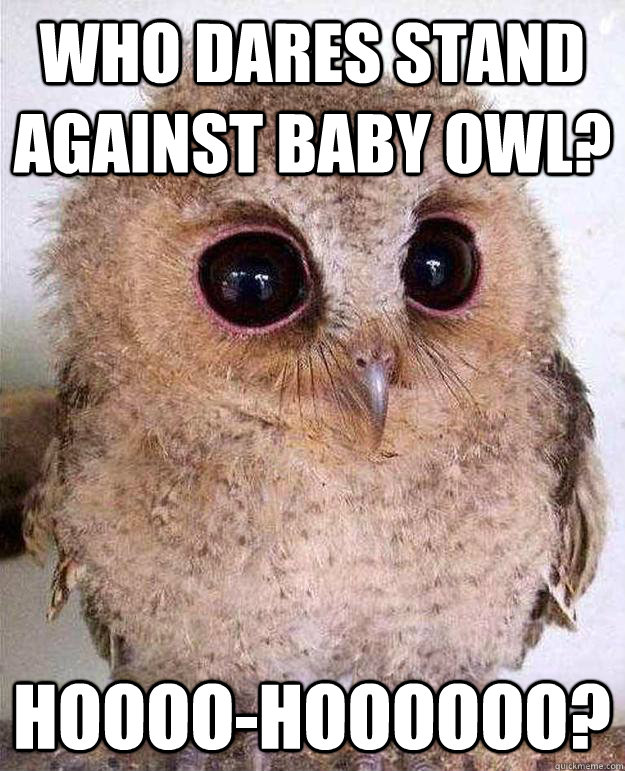 Who dares stand against Baby Owl? Hoooo-hoooooo? - Who dares stand against Baby Owl? Hoooo-hoooooo?  Who Stands Against Baby Owl