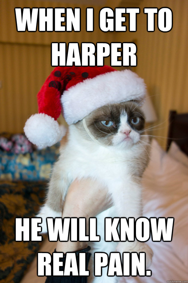 When i get to Harper he will know real pain.  - When i get to Harper he will know real pain.   Grumpy xmas