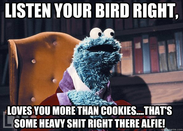 listen your bird right, loves you more than cookies....that's some heavy shit right there Alfie! - listen your bird right, loves you more than cookies....that's some heavy shit right there Alfie!  Cookie Monster