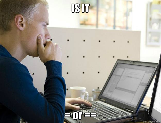 IS IT  = or ==  Programmer