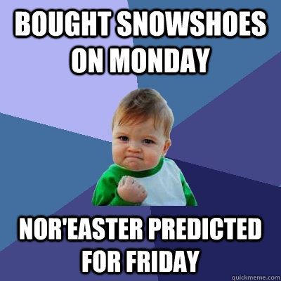 Bought snowshoes on Monday Nor'easter predicted for Friday  Success Kid