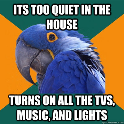 Its too quiet in the house turns on all the tvs, music, and lights - Its too quiet in the house turns on all the tvs, music, and lights  Paranoid Parrot