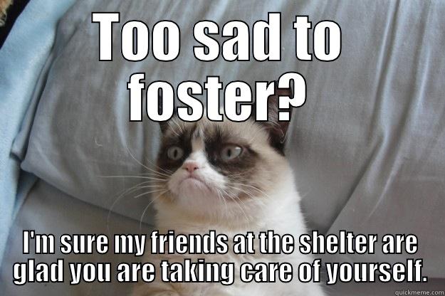 TOO SAD TO FOSTER? I'M SURE MY FRIENDS AT THE SHELTER ARE GLAD YOU ARE TAKING CARE OF YOURSELF. Grumpy Cat