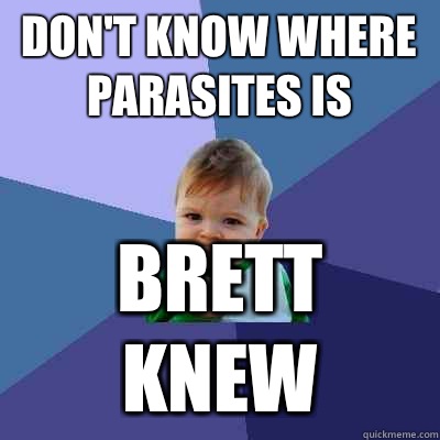 Don't know where parasites is Brett knew  Success Kid