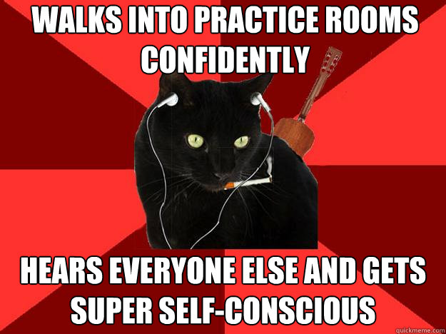 walks into practice rooms confidently hears everyone else and gets super self-conscious   Berklee Cat