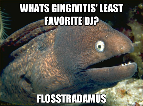 whats gingivitis' least favorite dj?  flosstradamus - whats gingivitis' least favorite dj?  flosstradamus  Bad Joke Eel