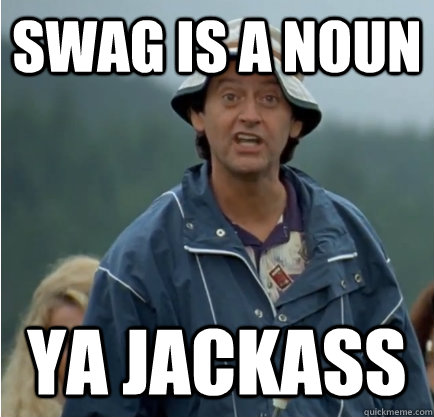 swag is a noun ya jackass - swag is a noun ya jackass  ya jackass