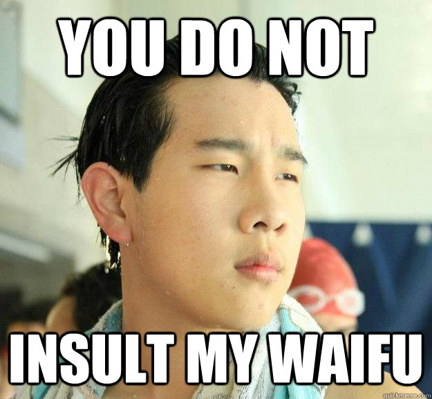 you do not insult my waifu  