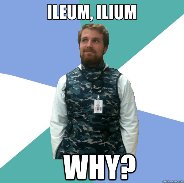 Ileum, ilium WHY? - Ileum, ilium WHY?  Unabridged First Year Medical Student