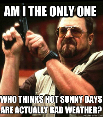 Am I the only one who thinks hot sunny days are actually bad weather? - Am I the only one who thinks hot sunny days are actually bad weather?  sobchak