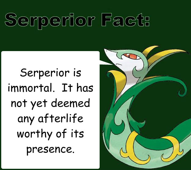 Serperior is immortal.  It has not yet deemed any afterlife worthy of its presence. - Serperior is immortal.  It has not yet deemed any afterlife worthy of its presence.  Serperior Facts