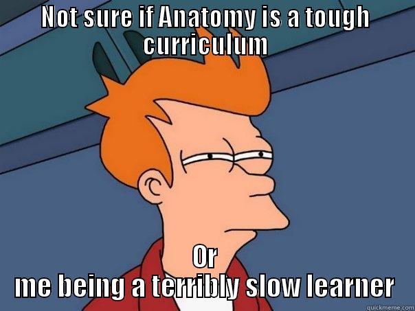 A bit confused - NOT SURE IF ANATOMY IS A TOUGH CURRICULUM OR ME BEING A TERRIBLY SLOW LEARNER Futurama Fry